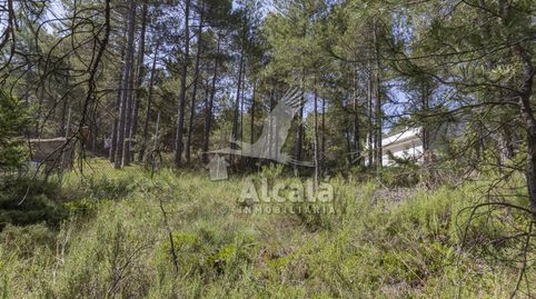 ESTUPENDO TERRENO EN TRILLO, immagine 4