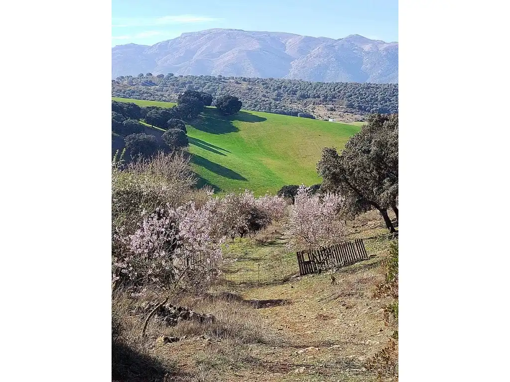 Jardín de Casa o chalet en venta en Alhama de Granada