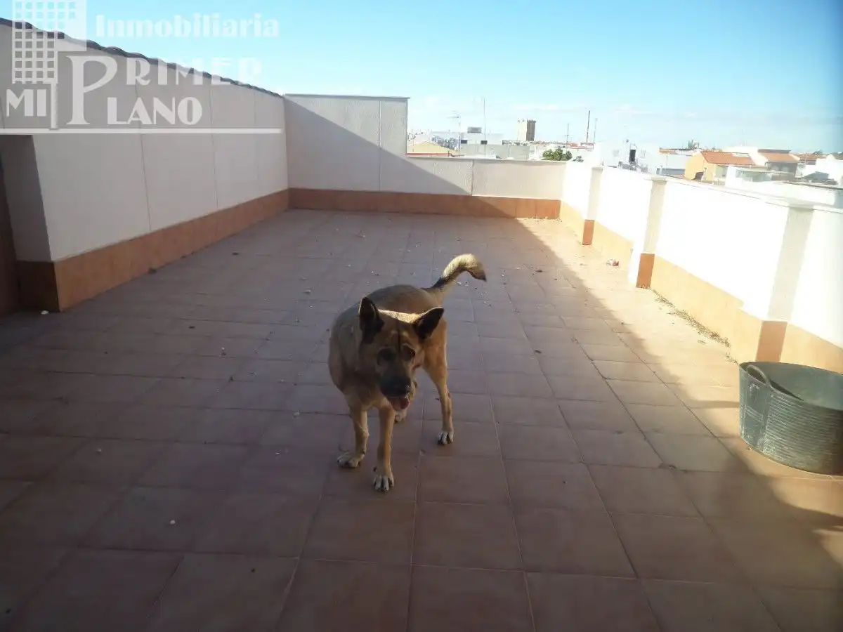 Casa con terraza en venta en Tomelloso, imagen 9