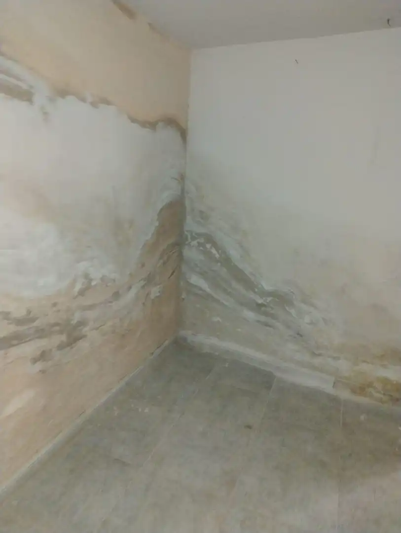 Baño de Planta baja en venta en Daimiel