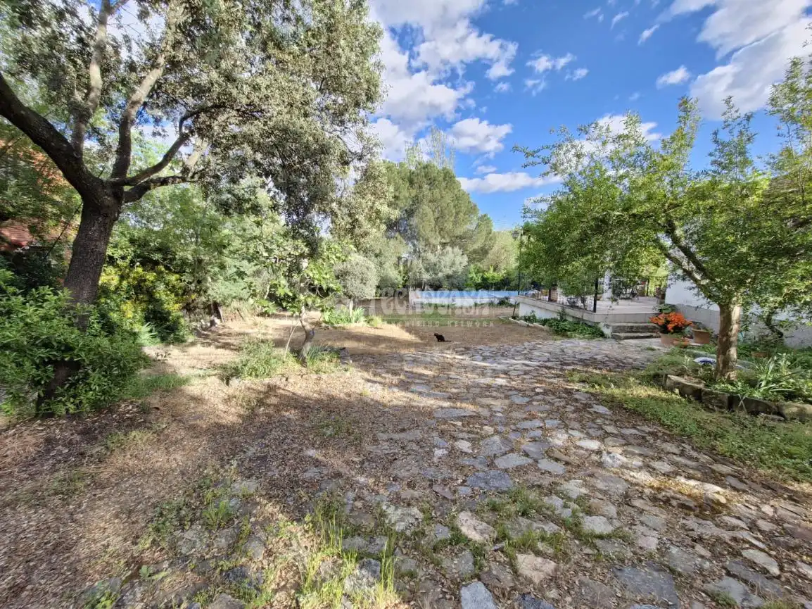 Casa rústica amb piscina en venda a La Carolina, imagen 18