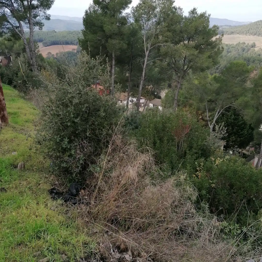 Terrenos y solares en venta en Piera, imagen 5