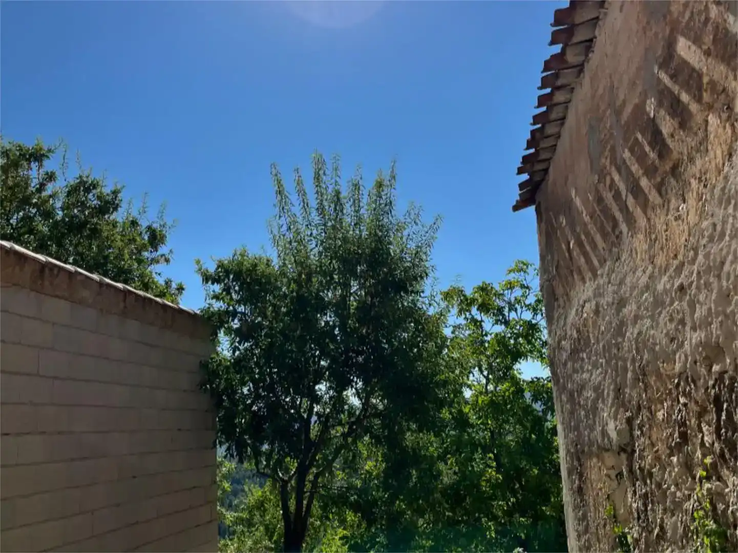Finca rústica en venda en Nerpio