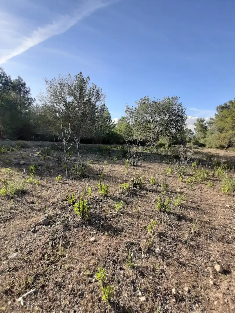 Terrain rustique à vendre à Sant Joan, imagen 17