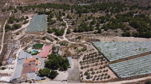 Foto 2 de Finca rústica en venta en Calle Mayor, Monóvar  / Monòver, Alicante