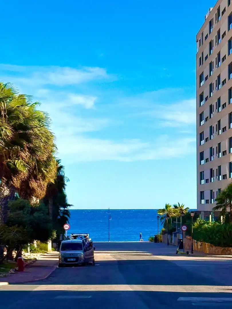Vista exterior de Apartament en venda en Torrevieja amb Aire condicionat, Calefacció i Jardí privat