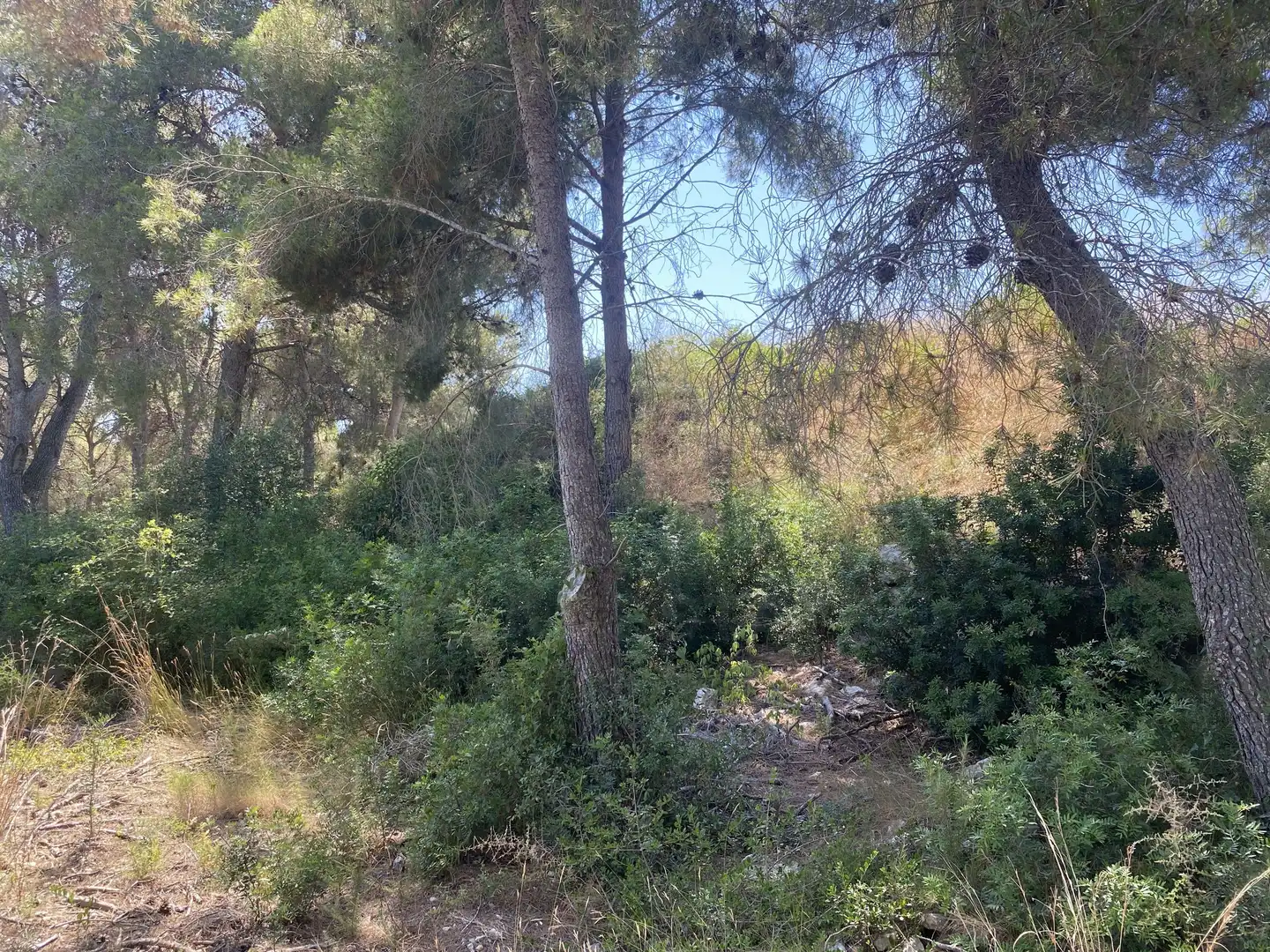 Residential land for sale in Urbanitzacions de Llevant, imagen 12