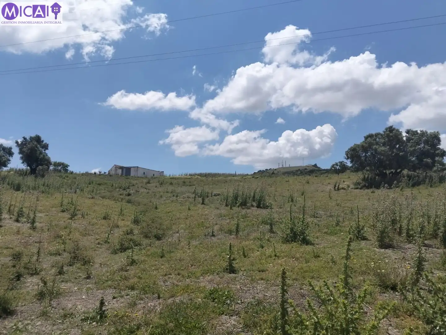 Terreny rústic en venda a Medina Sidonia, imagen 9