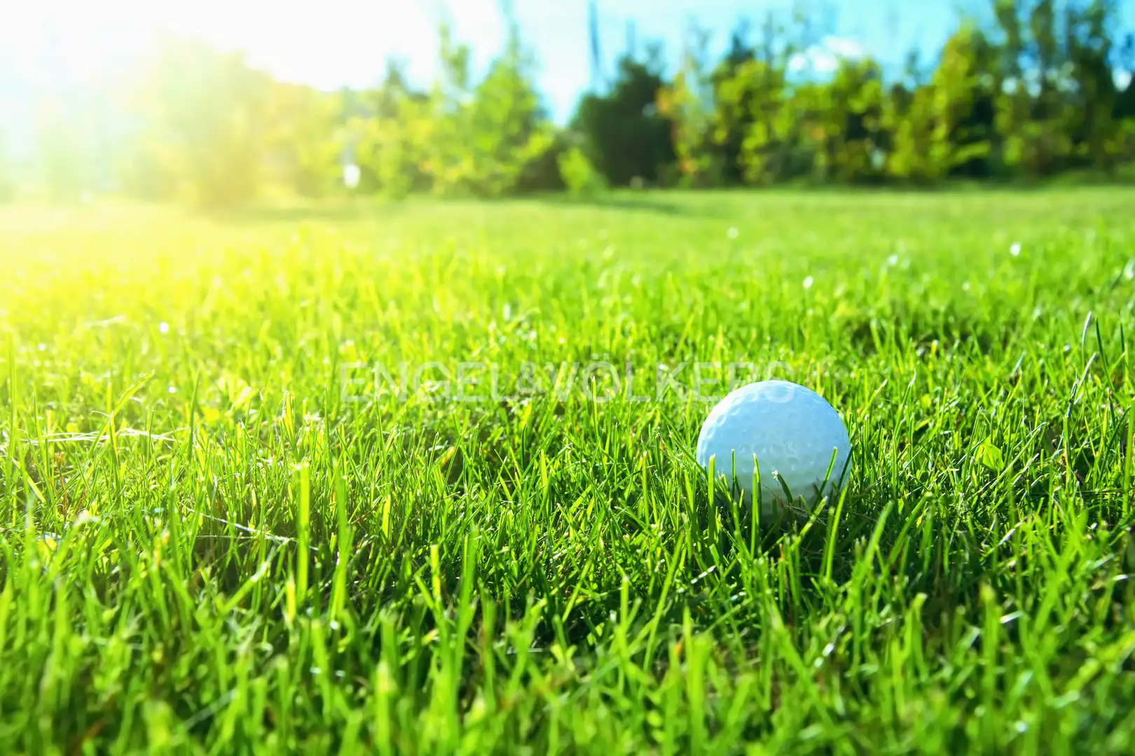 Terreno residenziale in vendita a Golf - Can Trabal, imagen 7