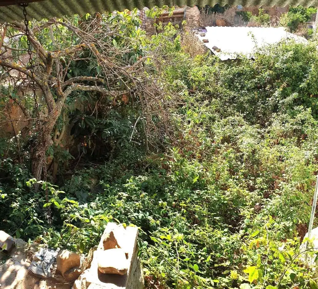 Finca rústica en venta en Castejón de las Armas con Terraza, Trastero y Amueblado