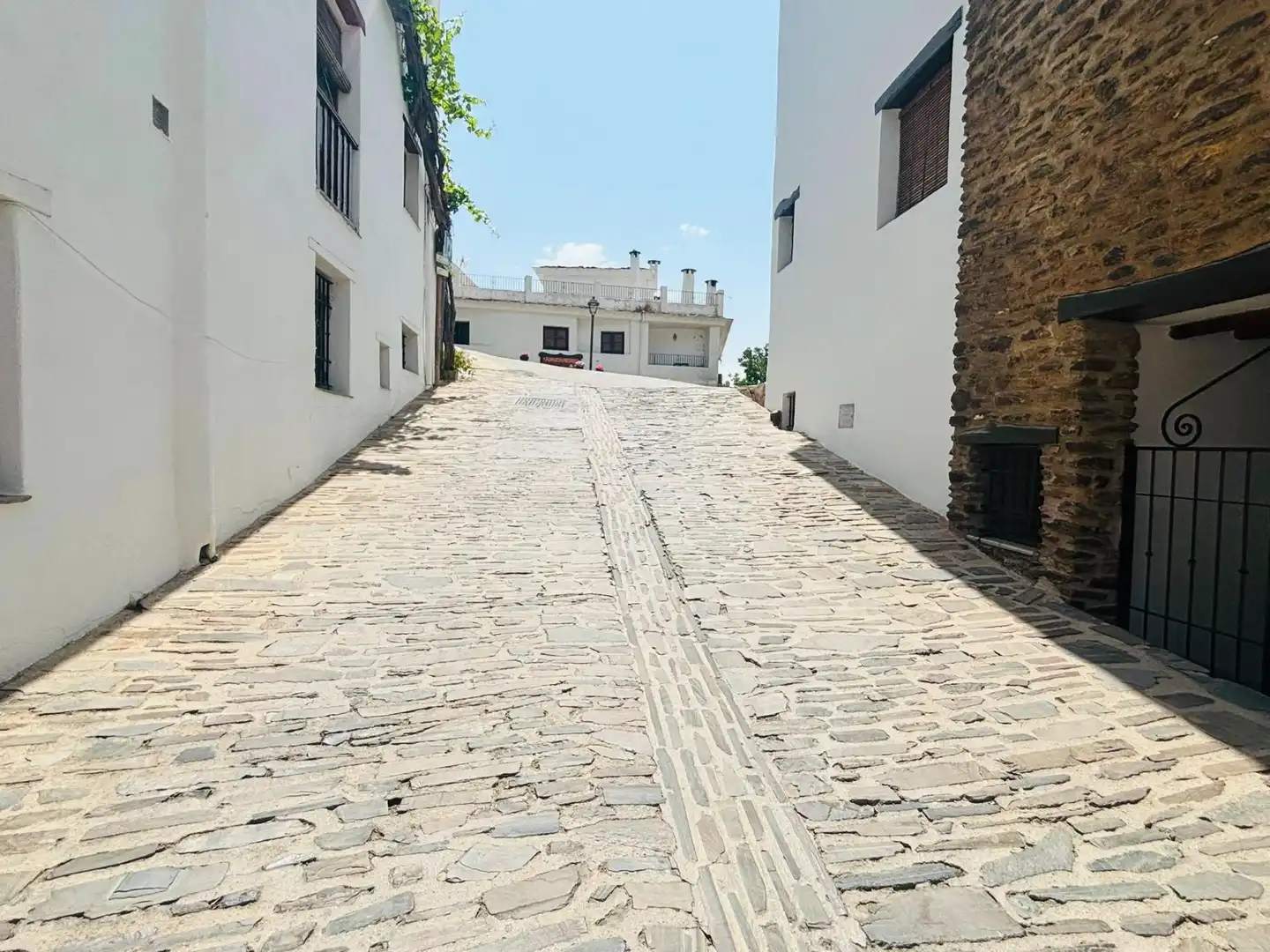 Vista exterior de Finca rústica en venta en Capileira