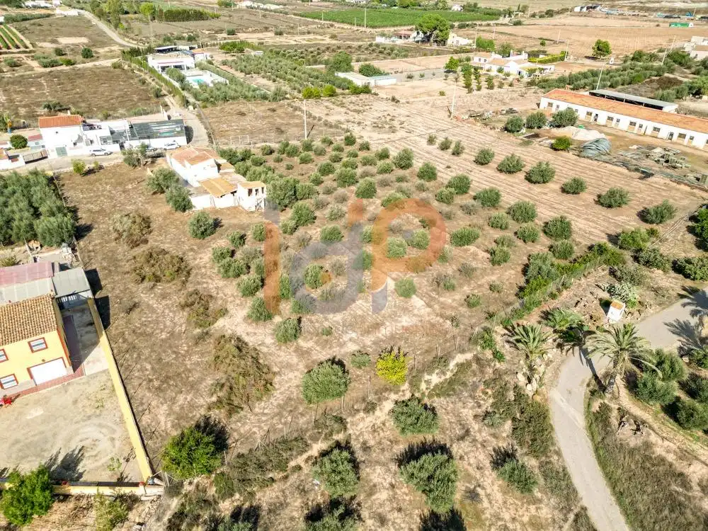 Casa amb jardí en venda a Huércal-Overa