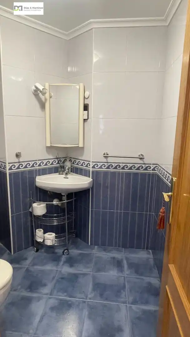 Bany de Apartament de lloguer en León Capital  amb Calefacció, Parquet i Moblat