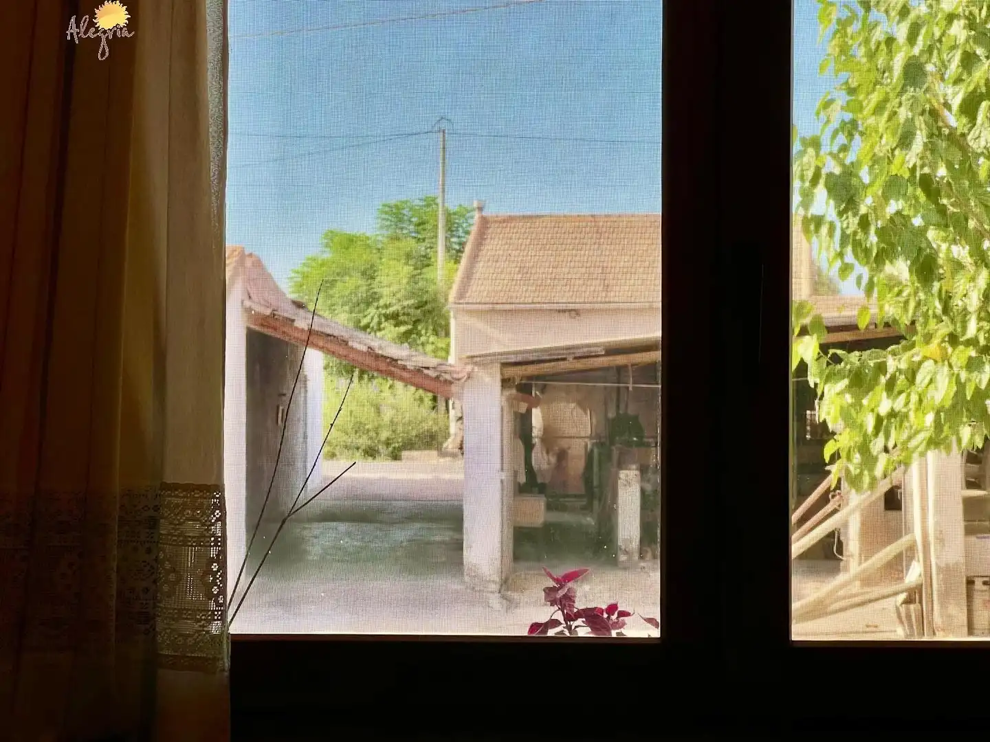Vista exterior de Casa o xalet en venda en Daya Vieja amb Aire condicionat, Calefacció i Jardí privat