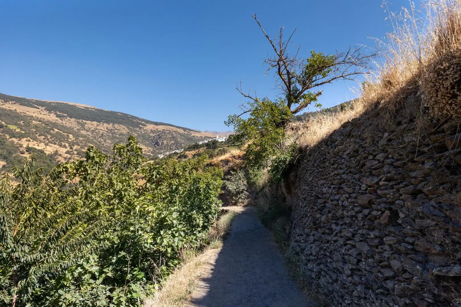 Rural land for sale in Polígono 3 Parcela 19 JARILA. BUBION (GRANADA), imagen 5
