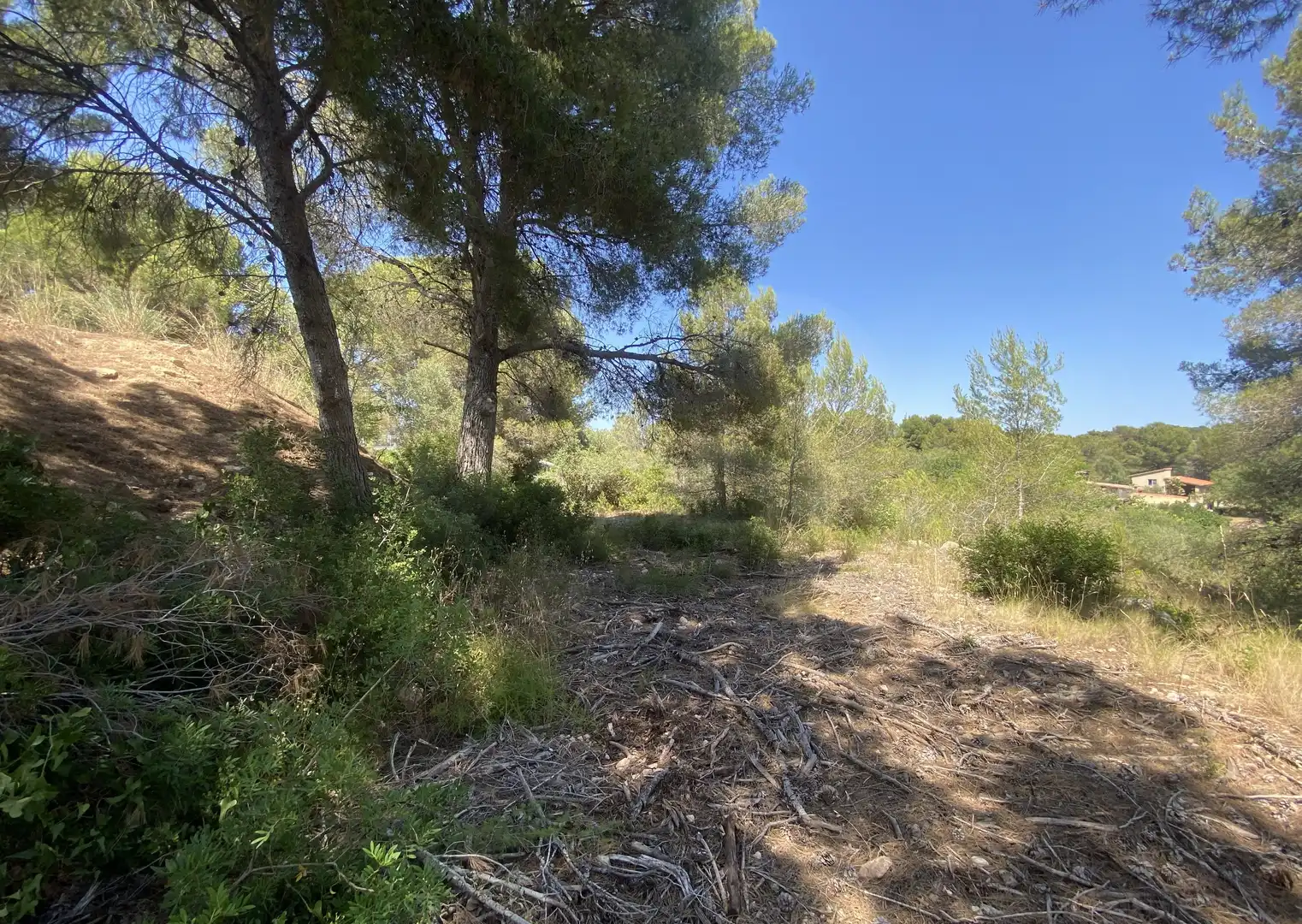 Residential land for sale in Urbanitzacions de Llevant, imagen 20
