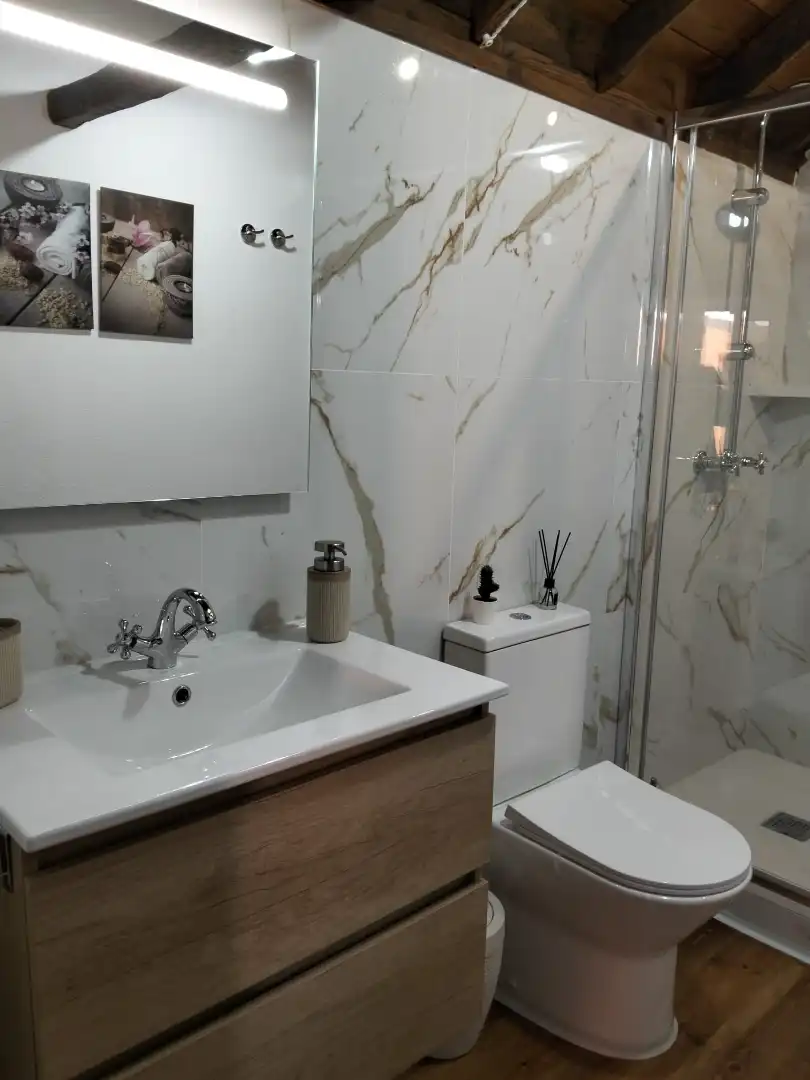 Bathroom of Houses for rent in Fasnia  with Terrace, Furnished and Oven