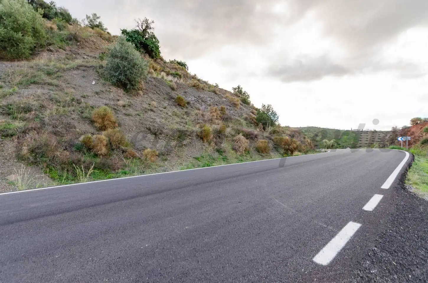 Terreno rustico in vendita a Salares, imagen 7