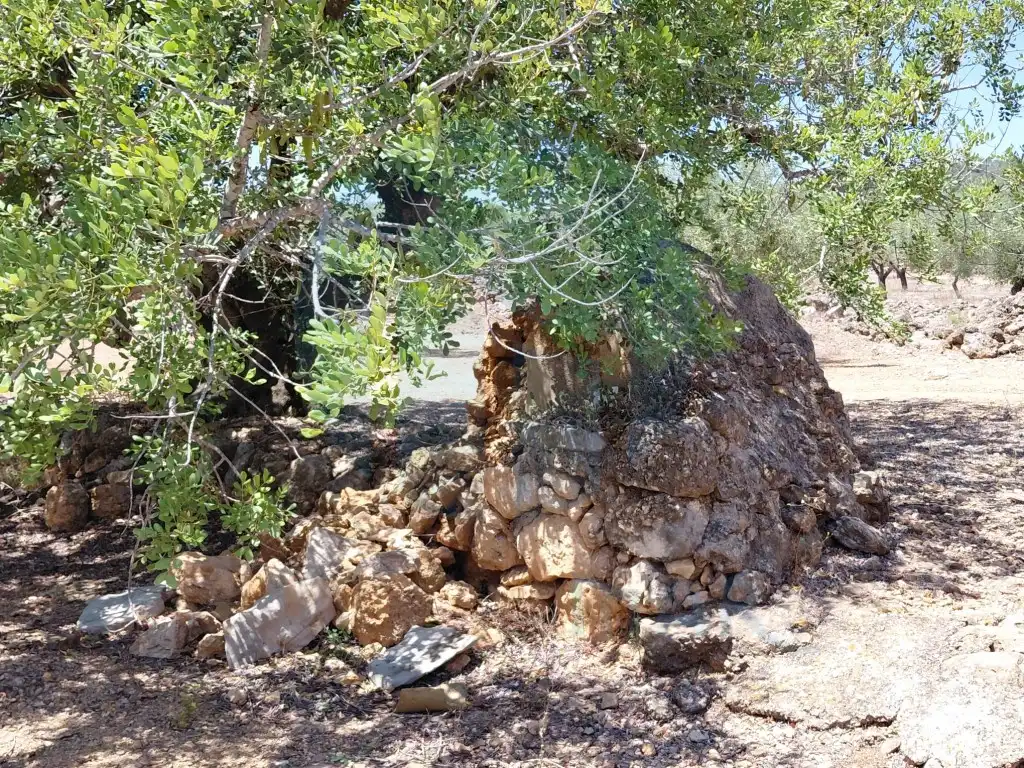 Casa rústica en venta en El Perelló, imagen 6