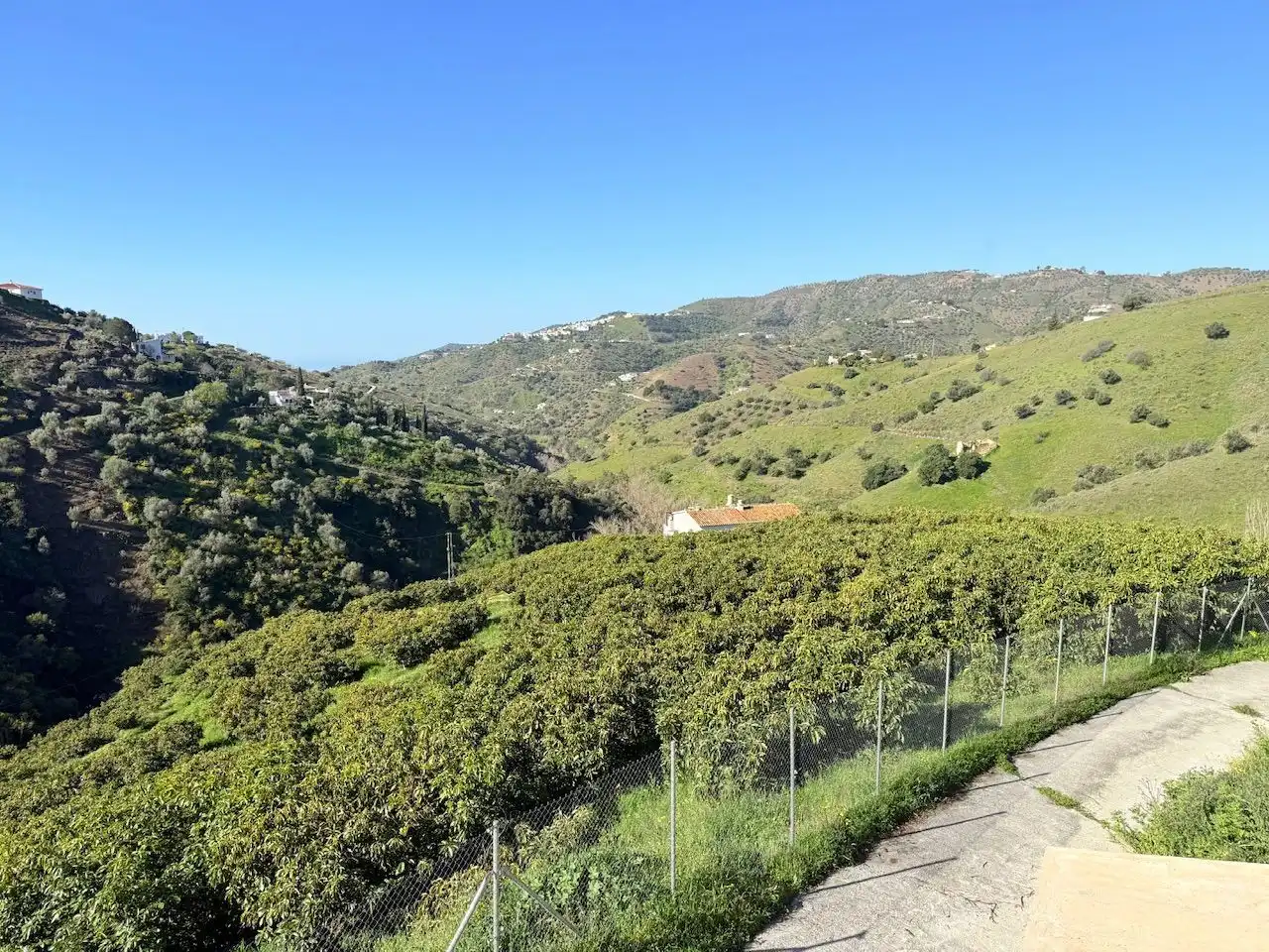 Exterior view of Land for sale in Canillas de Albaida