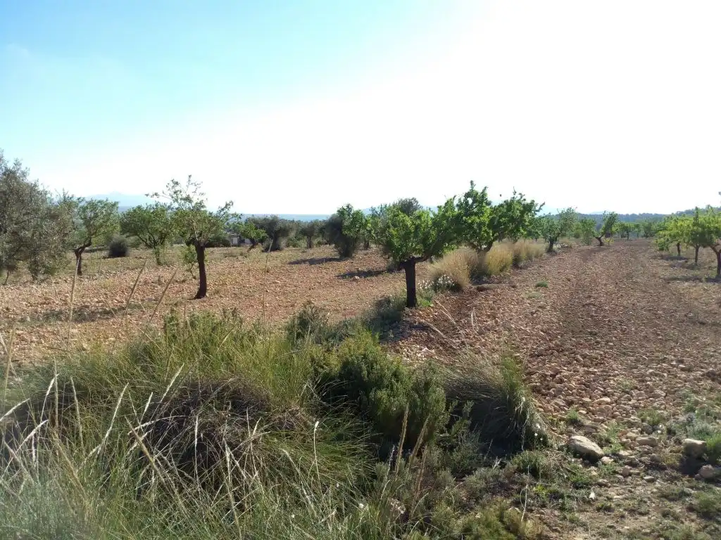 Terreno residencial en venta en El Pinós / Pinoso