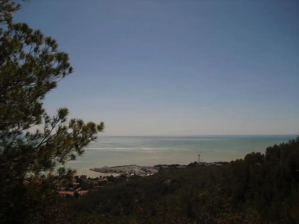 Rural land for sale in C/ Farigola, imagen 6