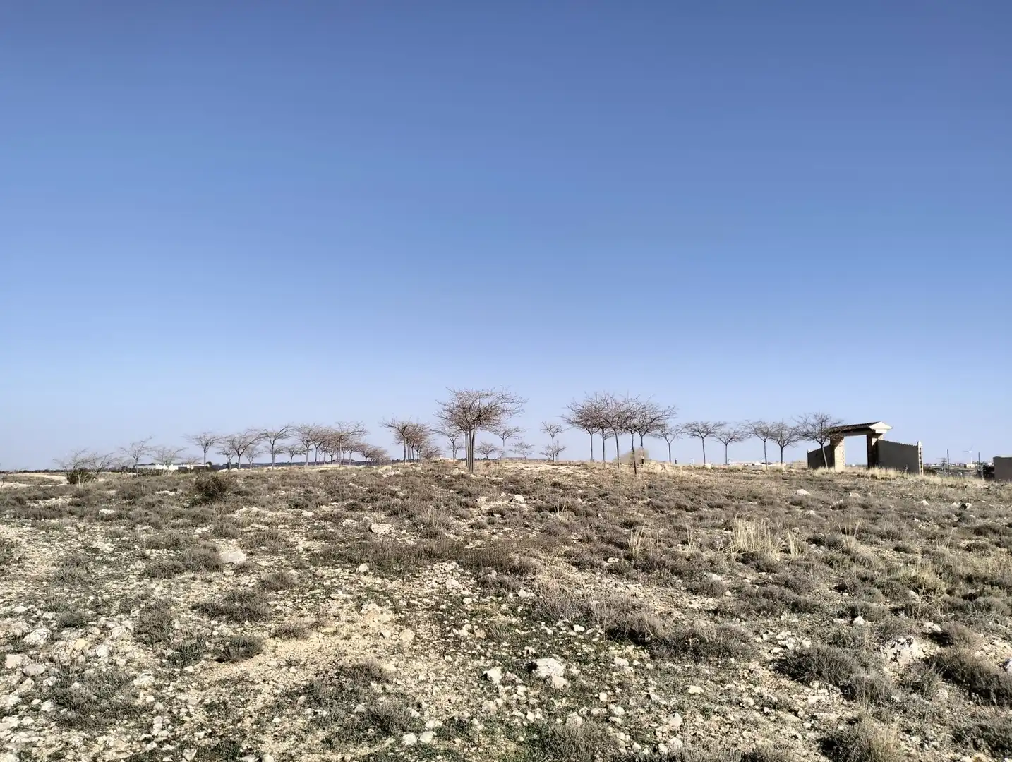 Residencial en venta en Munera