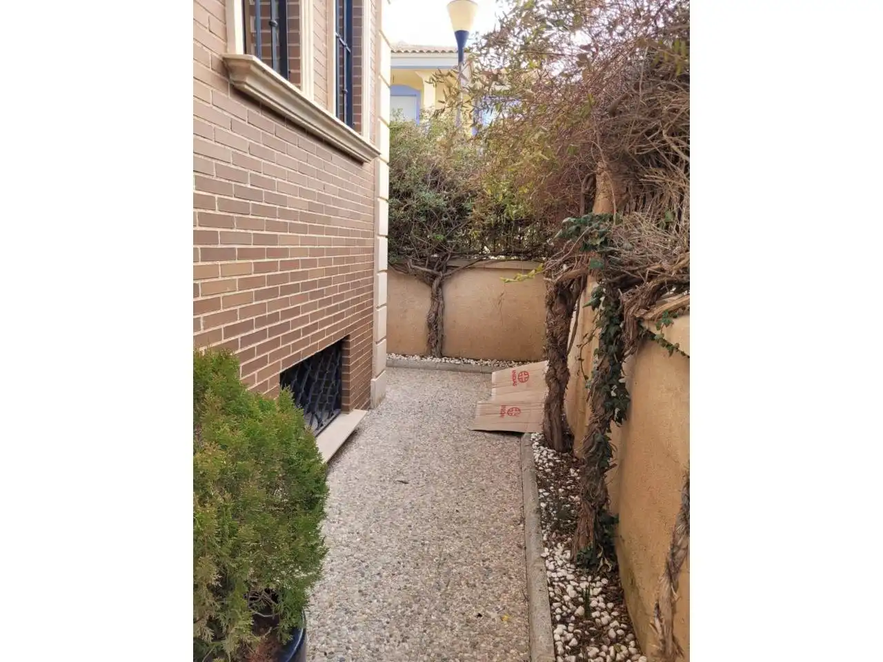 Jardí de Casa o xalet en venda en Baza amb Jardí privat, Terrassa i Piscina