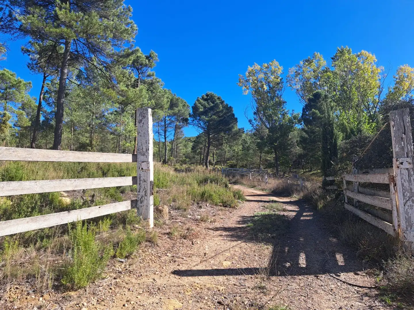 Exterior view of Country homes for sale in Cortes de Pallás  with Heating and Swimming Pool