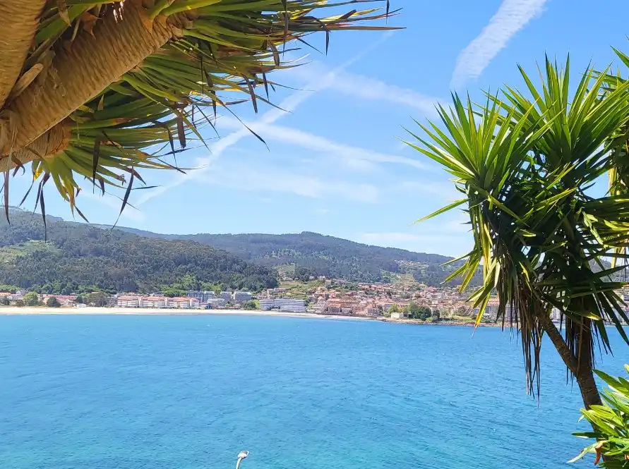 Chalet en venta en Subida Monte Lourido, imagen 5