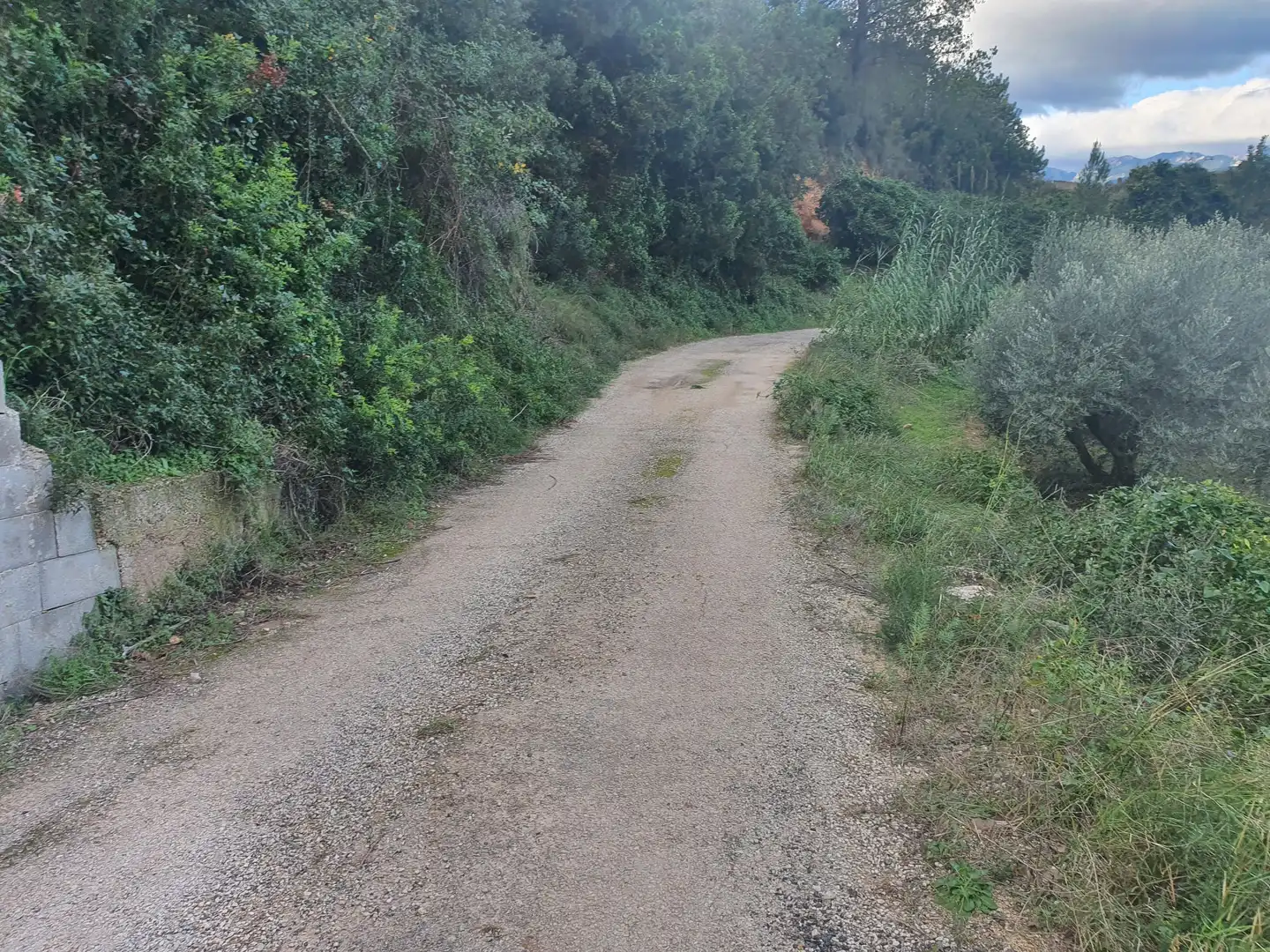 Terreno rústico en venta en Benifallet, imagen 16