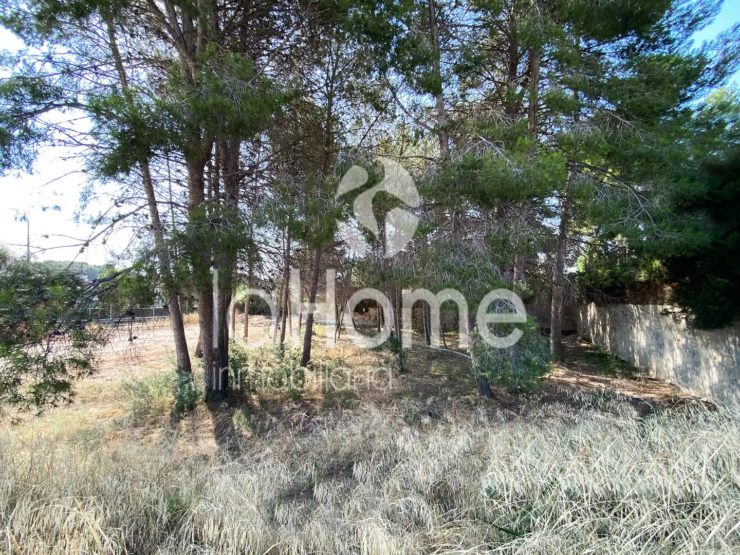 Terreny residencial en venda a La Cañada, imagen 2