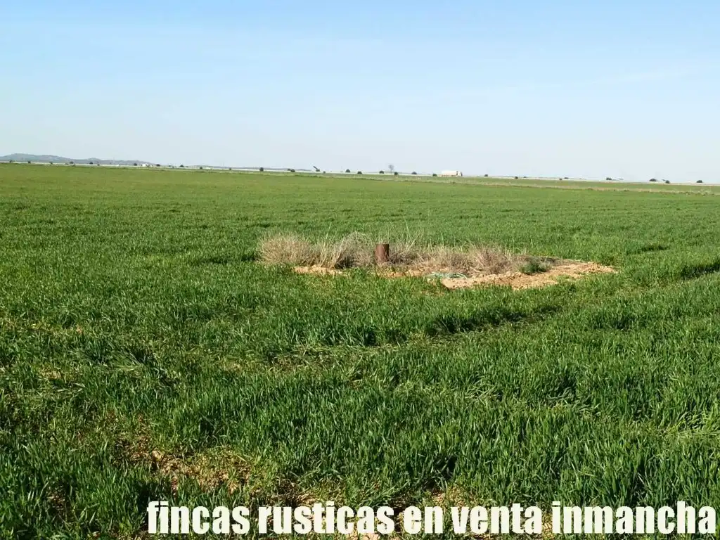 Terreni e lotti in vendita a Madridejos, imagen 15