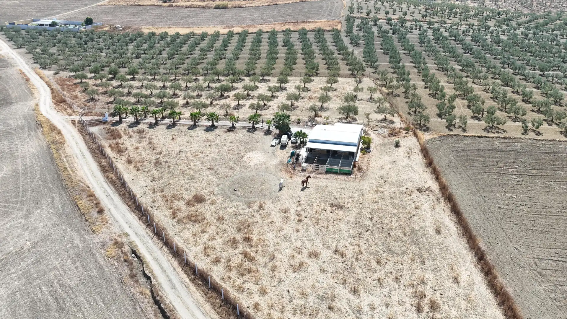 Rural land for sale in Polígono 12 Parcela 177 LA CORIANA. OLIVARES (SEV, imagen 19