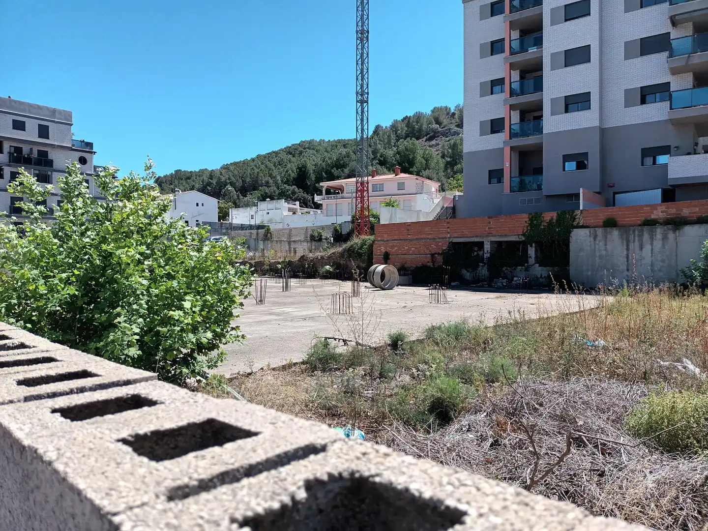 Altri in vendita a PINTOR JUAN FRANCES, imagen 14