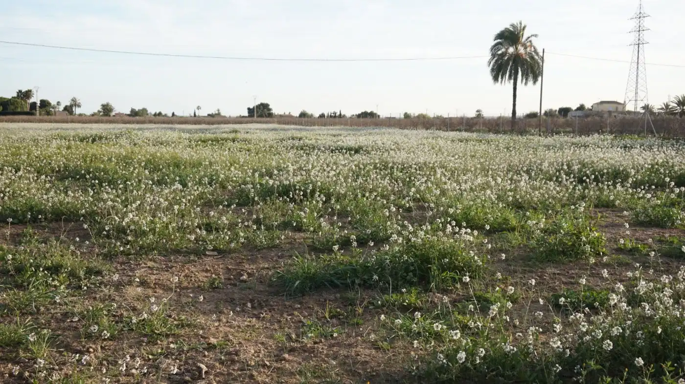 Terreno residencial en venta en Las Bayas, imagen 2