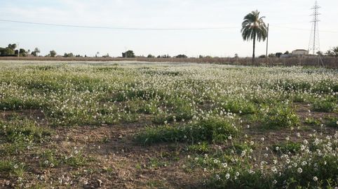 Foto 2 de Residencial en venta en Las Bayas, Elche / Elx