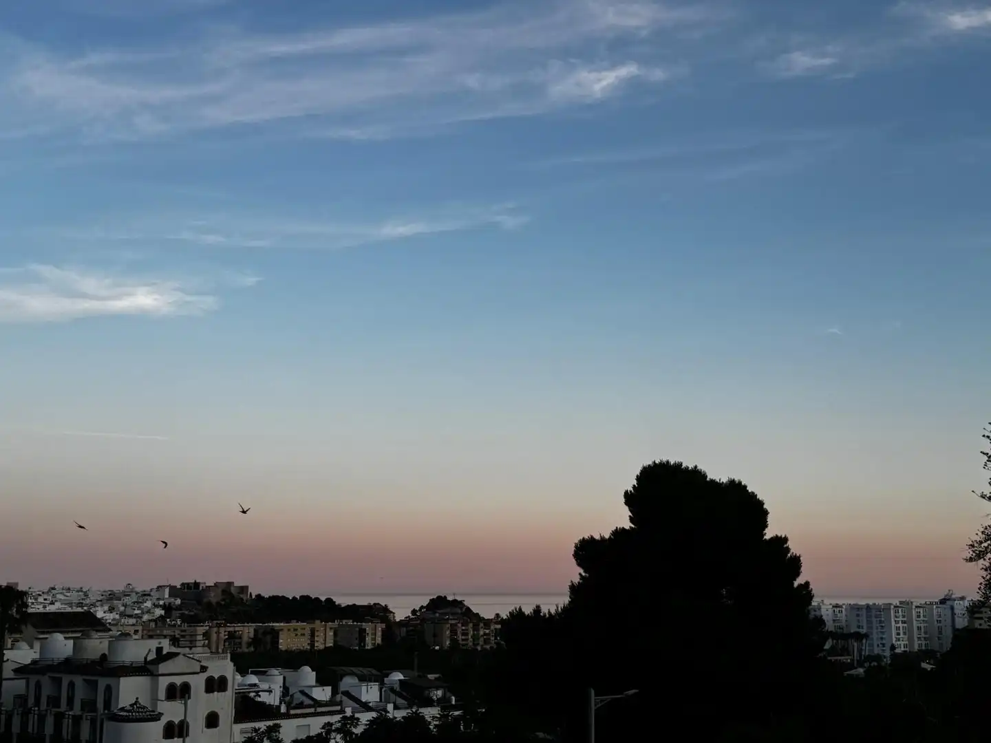 Exterior view of Flat for rent in Almuñécar  with Private garden, Terrace and Furnished
