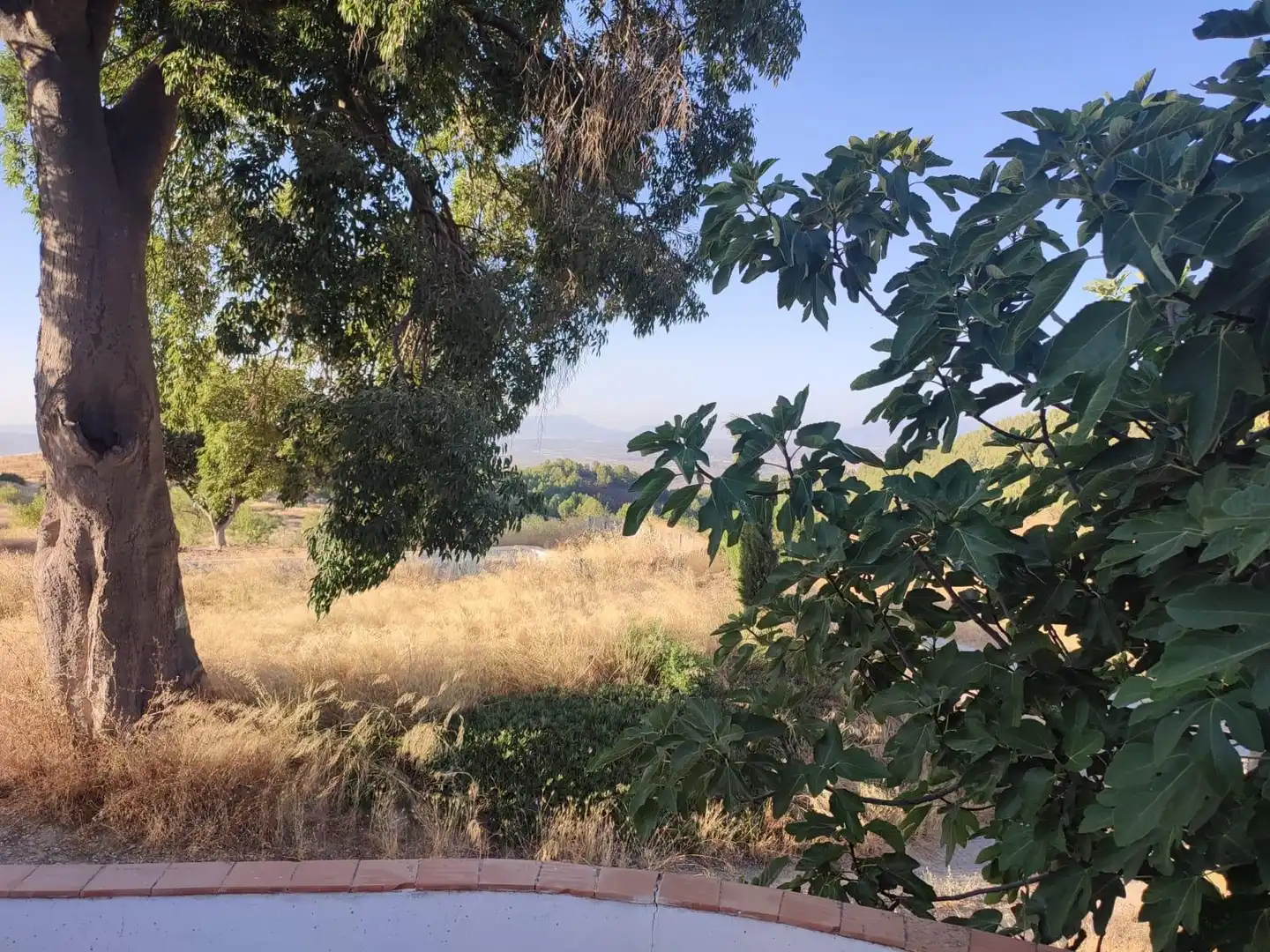 Terrains et parcelles à vendre à Pedanías Centro, imagen 20