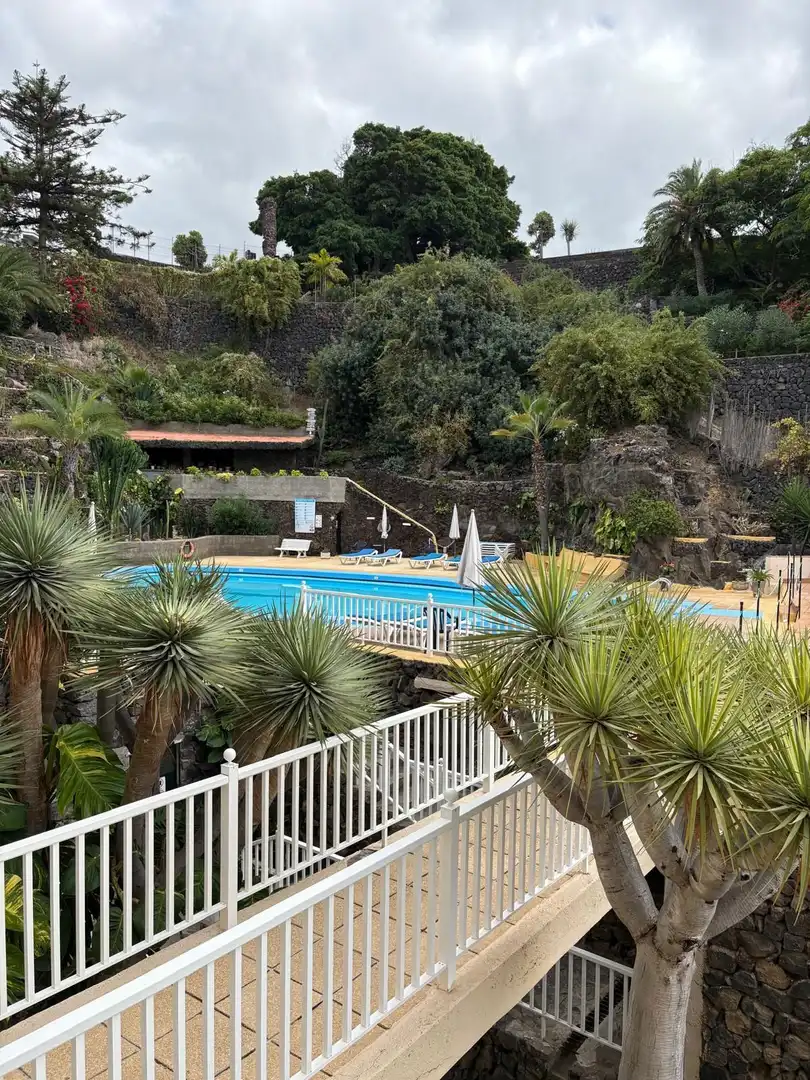 Apartment with pool to rent in Botanico