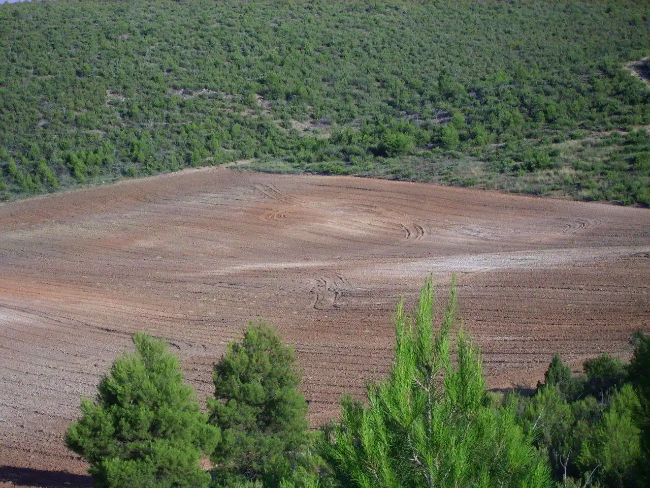 Terreni e lotti in vendita a Cardenete, imagen 7