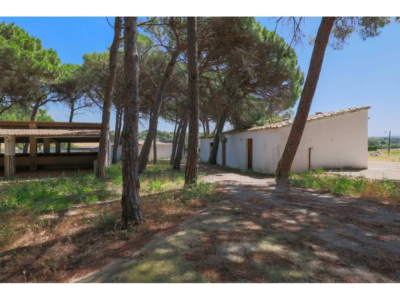 Maison rustique avec piscine à vendre à Camino burot 18, imagen 18