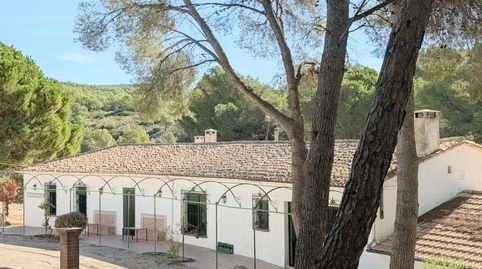 Foto 5 de Finca rústica en venta en Ibi, Alicante
