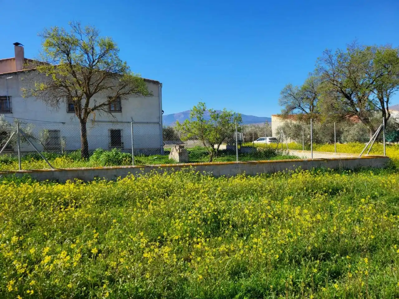 Vista exterior de Casa o xalet en venda en Baza amb Terrassa