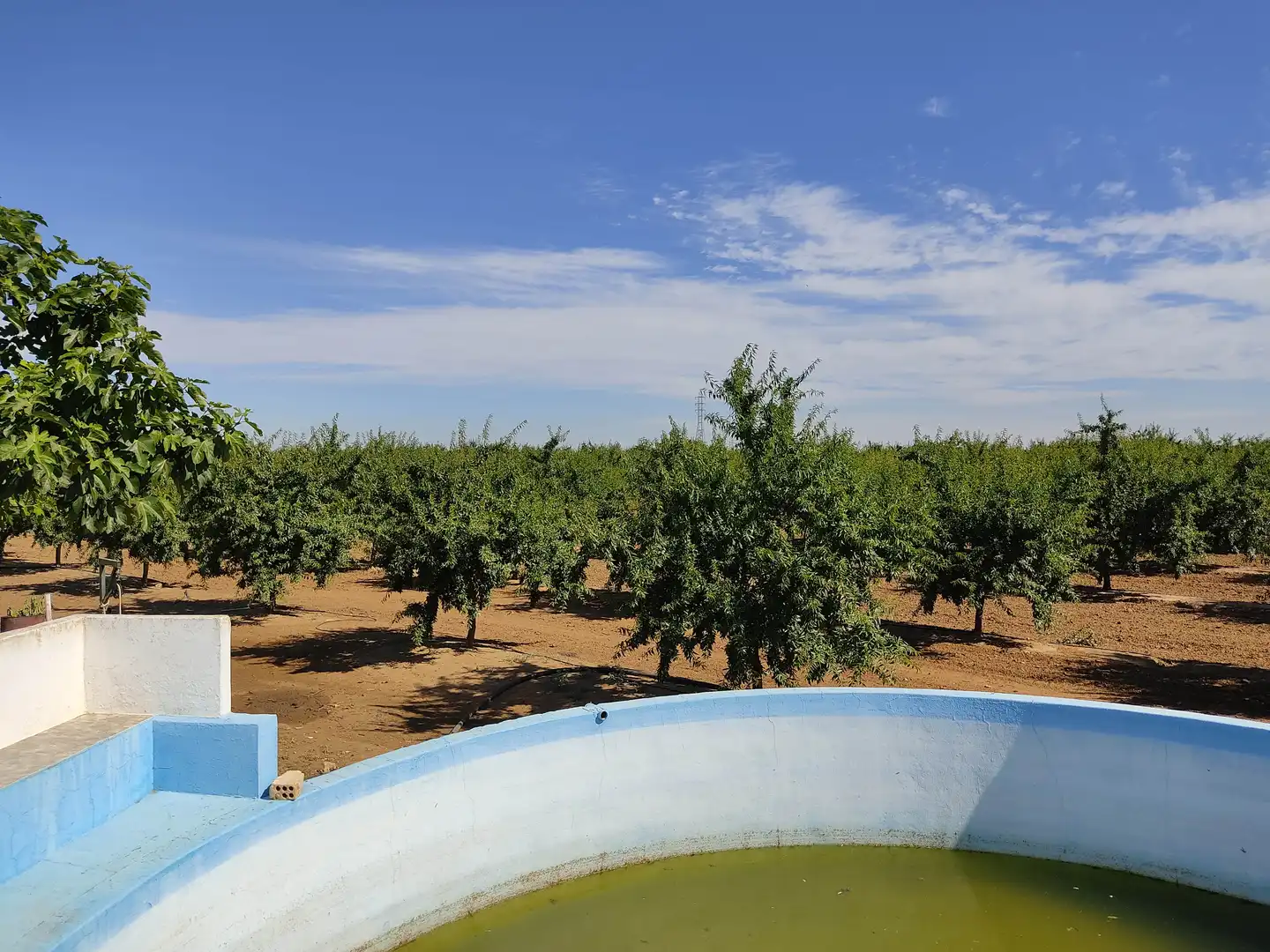 Garden of Land for sale in Utrera