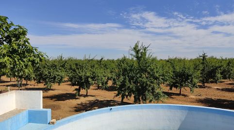 Photo 4 of Land for sale in Estación - La Fontanilla - El Tinte, Utrera