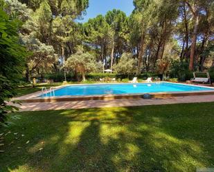 Piscina de Casa o xalet en venda en Motilleja amb Calefacció, Terrassa i Piscina
