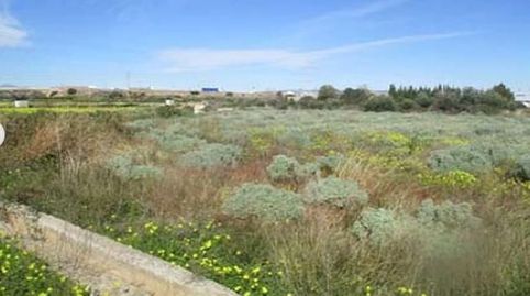 Foto 5 de Terreno en venta en El Pilar, Vila-real