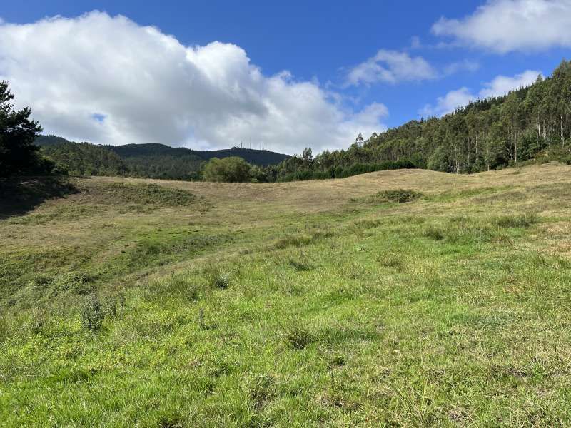 Country house for sale in Llanera