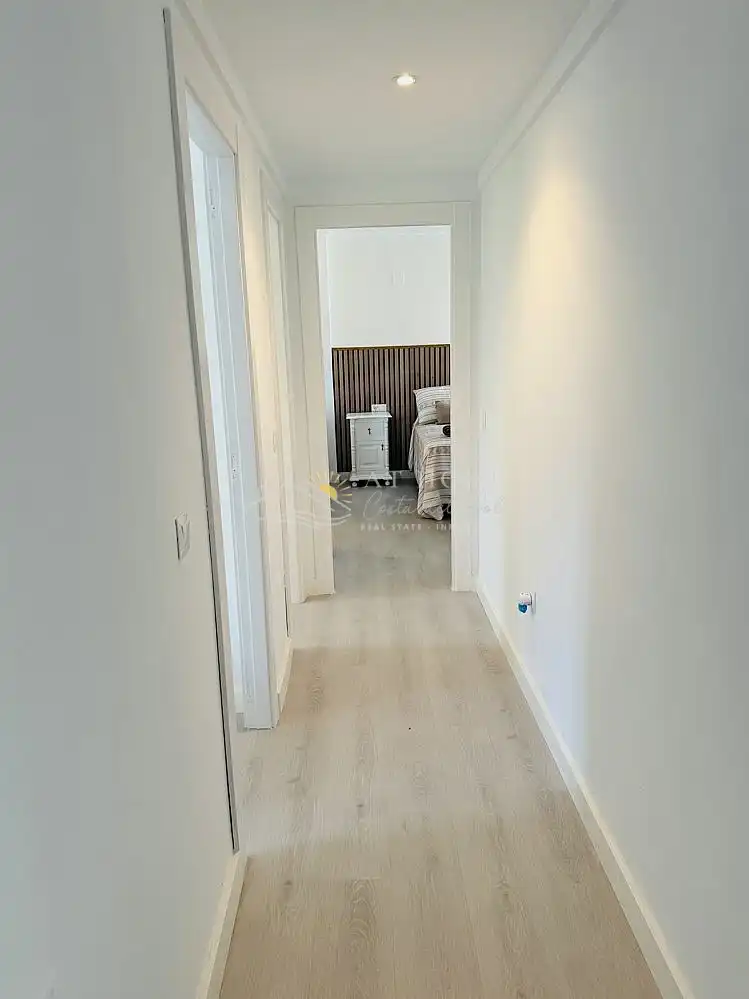 Apartments for rent in Centro